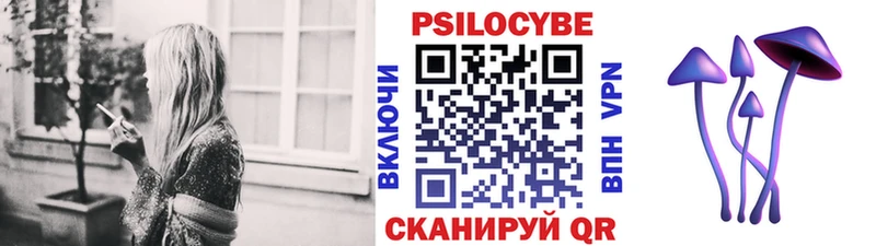 Псилоцибиновые грибы прущие грибы  Ростов-на-Дону 