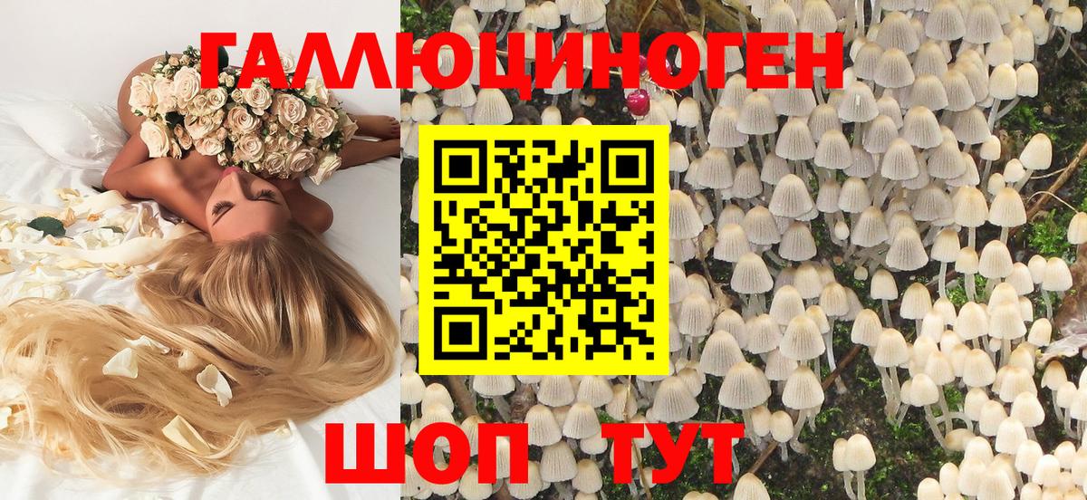 Ростов-на-Дону  Галлюциногенные грибы GOLDEN TEACHER  Вход с VPN 