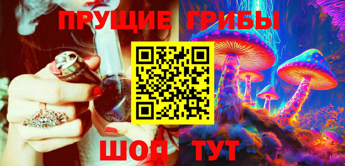 Галлюциногенные грибы MAGIC MUSHROOMS  Ростов-на-Дону  Псилоцибиновые грибы Psilocybe 