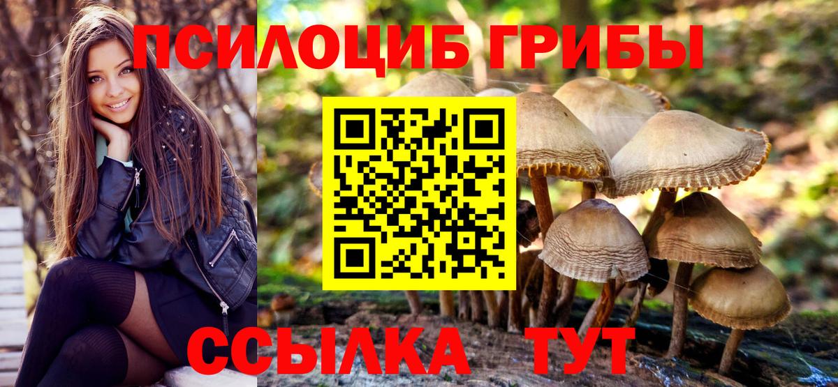 Псилоцибиновые грибы Cubensis Ростов-на-Дону
