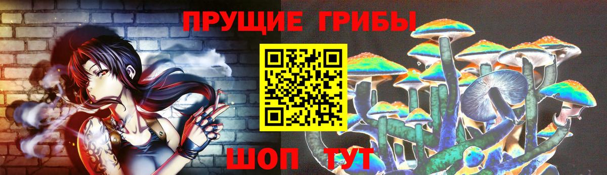 Псилоцибиновые грибы прущие грибы Ростов-на-Дону
